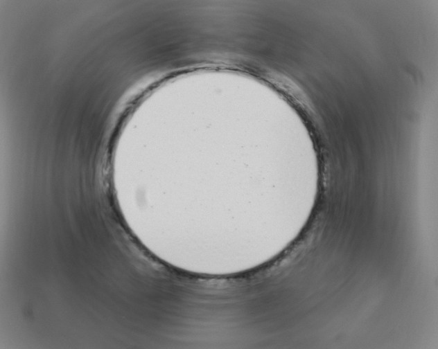X0000113101172200910091133