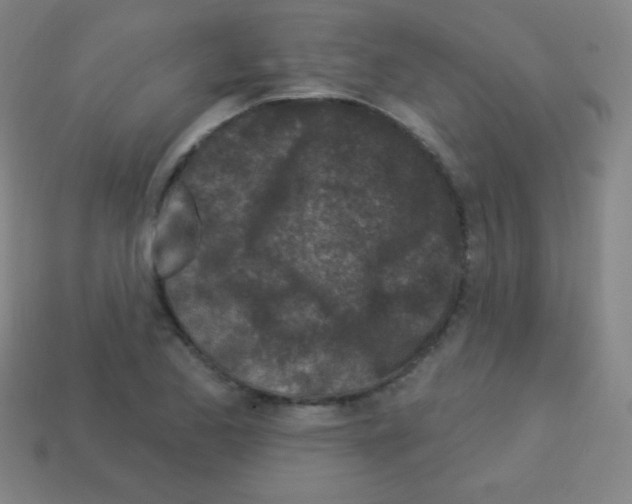 X0000113101173200910091133