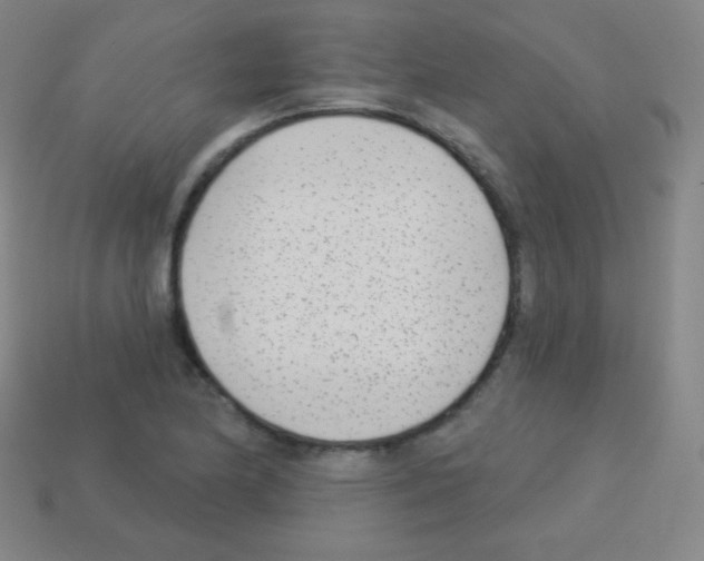 X0000113101174200910091133