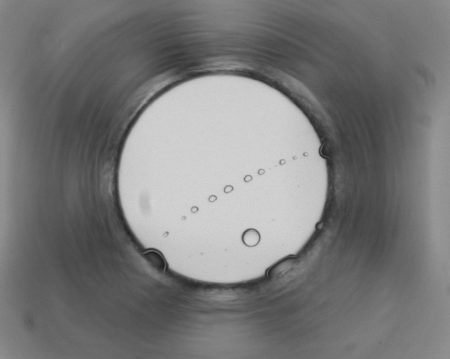 X0000113101177200910091133