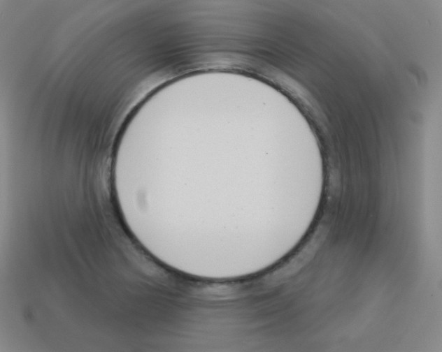 X0000113101178200910091133