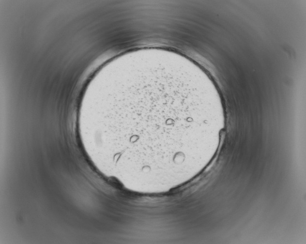 X0000113101179200910091133