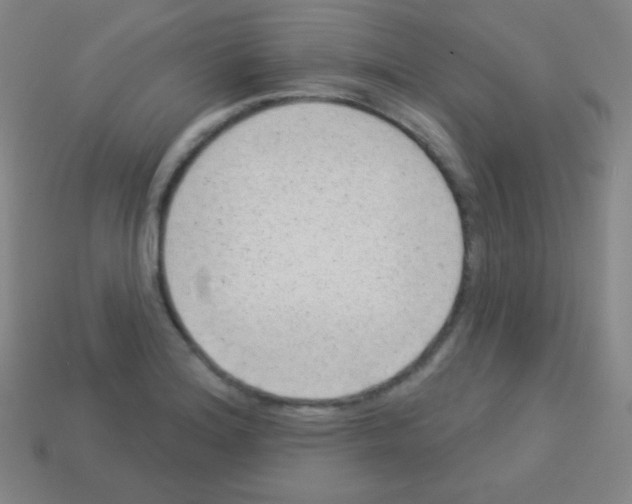 X0000113101180200910091133