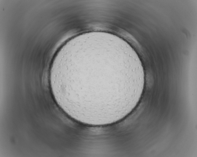 X0000113101182200910091133