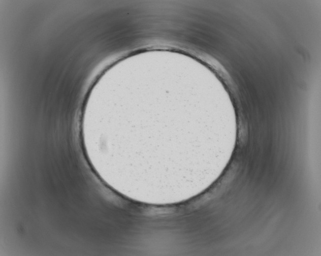 X0000113101183200910091133