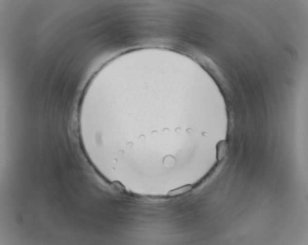 X0000113101184200910091133