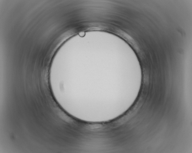 X0000113101186200910091133