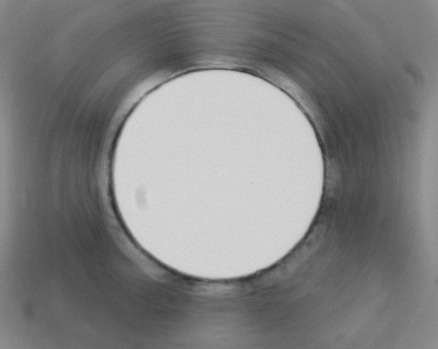 X0000113101187200910091133