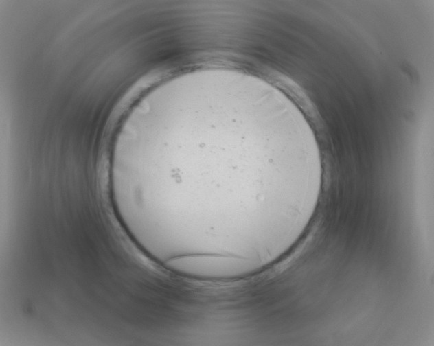 X0000113101188200910091133