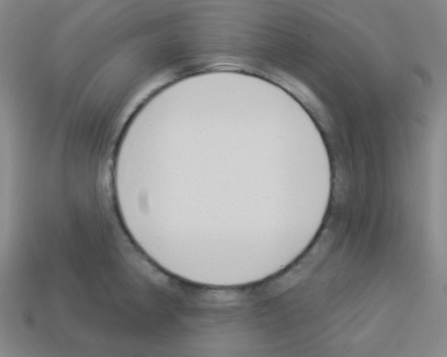 X0000113101190200910091133