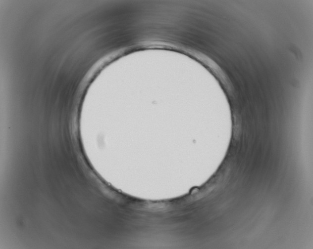 X0000113101191200910091133