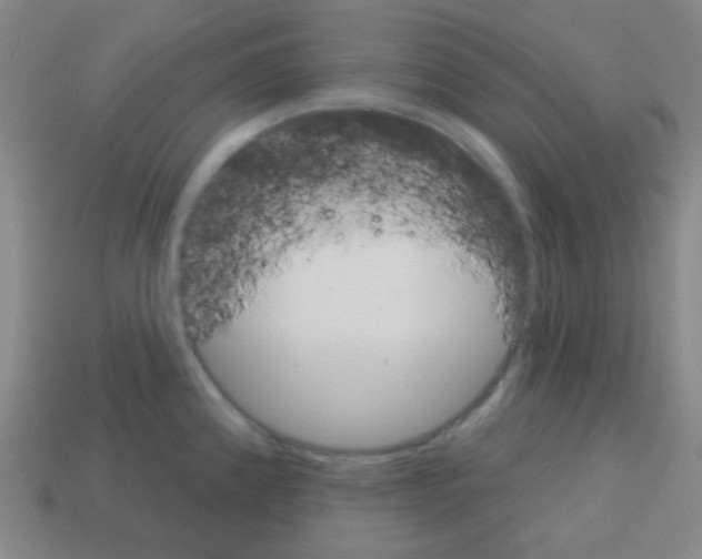 X0000113101192200910091133