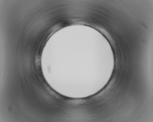 X0000113101193200910091133