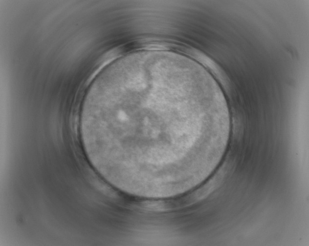 X0000113101194200910091133