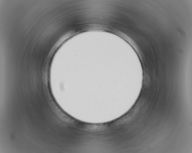 X0000113101195200910091133