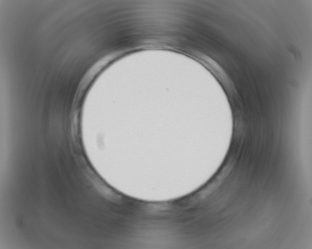 X0000113101196200910091133