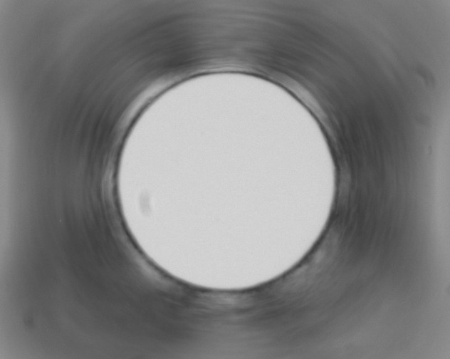 X0000113101197200910091133