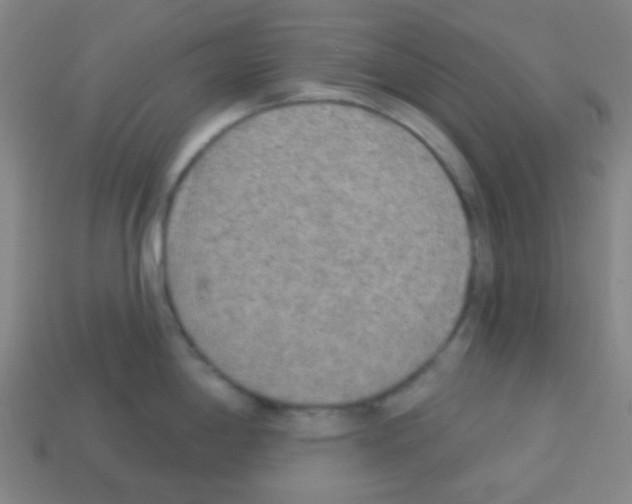 X0000113101198200910091133