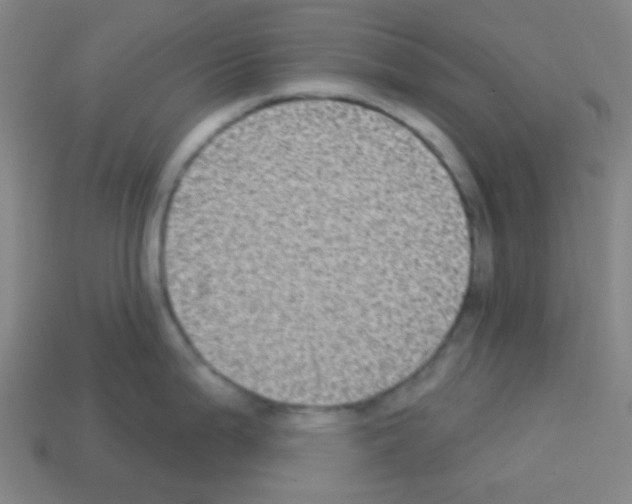 X0000113101199200910091133