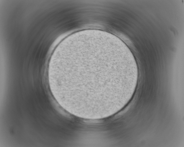 X0000113101200200910091133