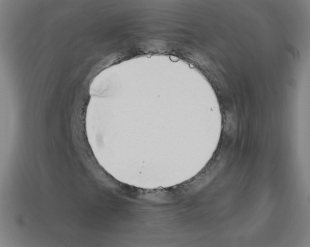 X0000113101201200910091132