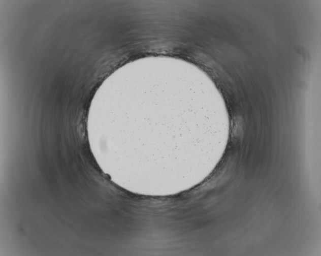 X0000113101202200910091132
