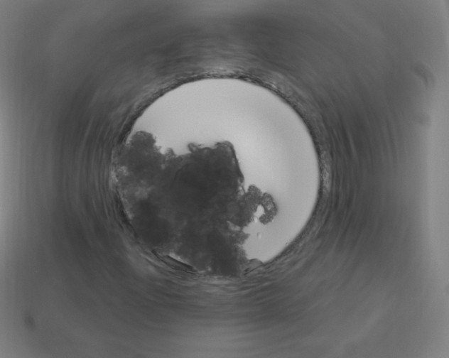 X0000113101204200910091132