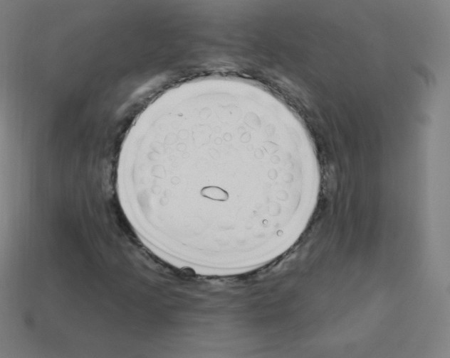 X0000113101205200910091132