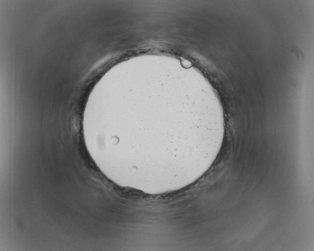 X0000113101206200910091132