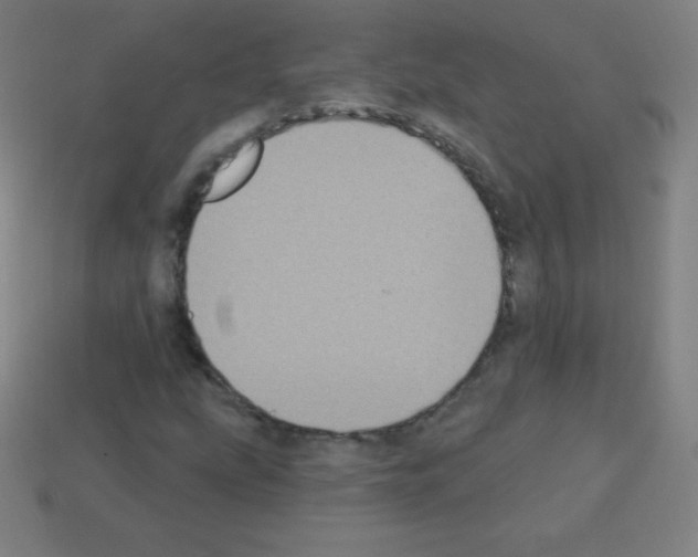 X0000113101207200910091132