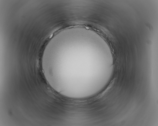 X0000113101209200910091132