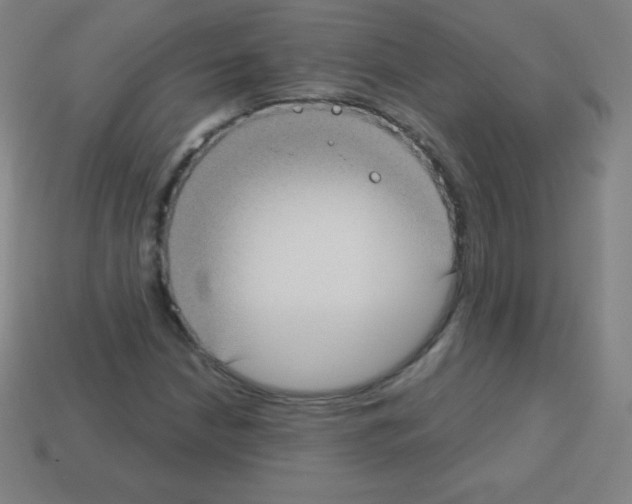 X0000113101210200910091132