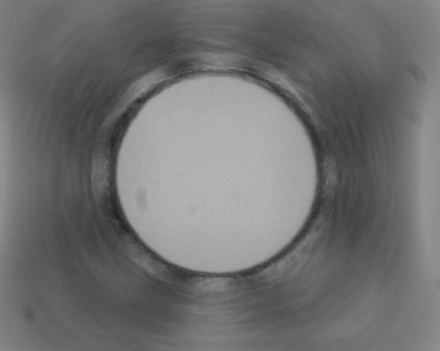 X0000113101211200910091132