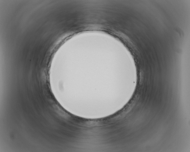 X0000113101212200910091132