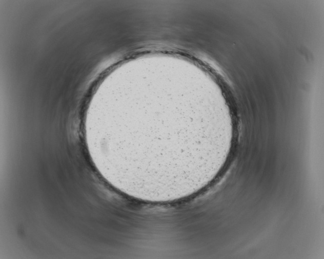 X0000113101213200910091132
