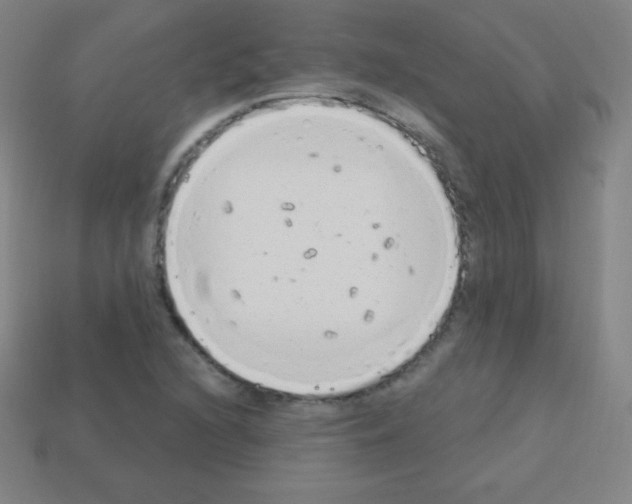 X0000113101216200910091132
