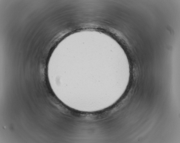 X0000113101217200910091132