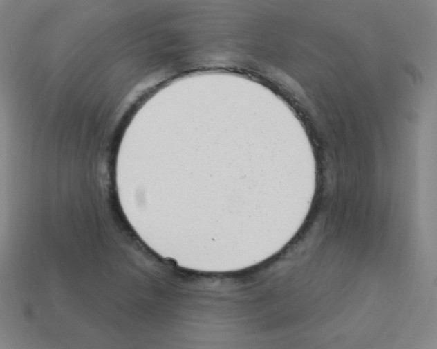 X0000113101218200910091132