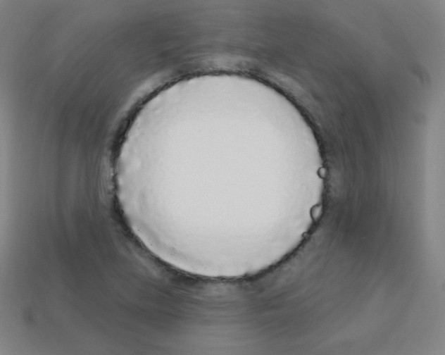 X0000113101219200910091132