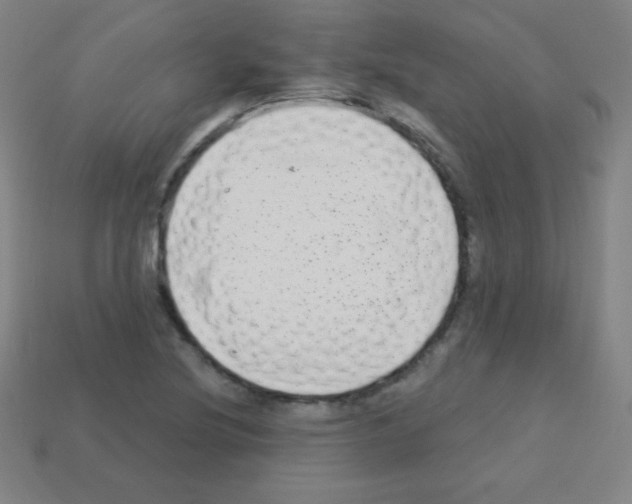 X0000113101220200910091132