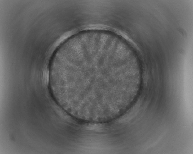 X0000113101221200910091133