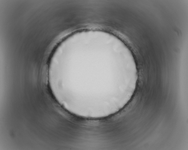 X0000113101223200910091133