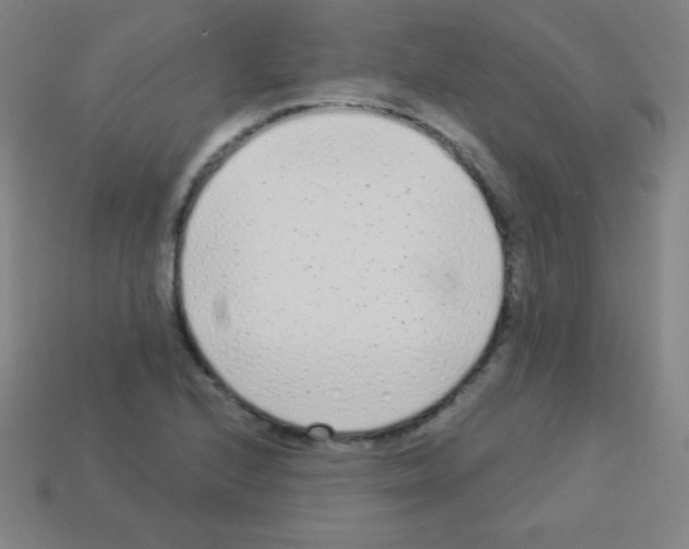 X0000113101224200910091133