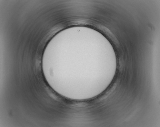 X0000113101225200910091133