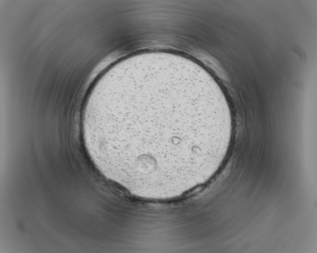 X0000113101226200910091133