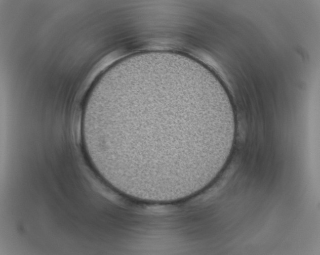 X0000113101227200910091133