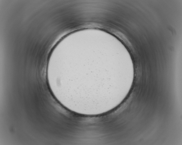 X0000113101228200910091133