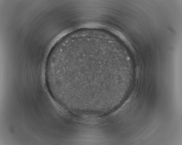 X0000113101229200910091133