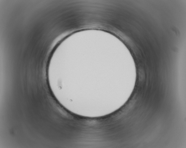 X0000113101230200910091133