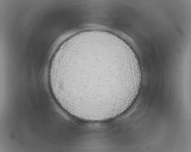 X0000113101231200910091133